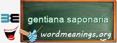 WordMeaning blackboard for gentiana saponaria